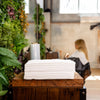 Pack découverte coiffure - serviettes compostables